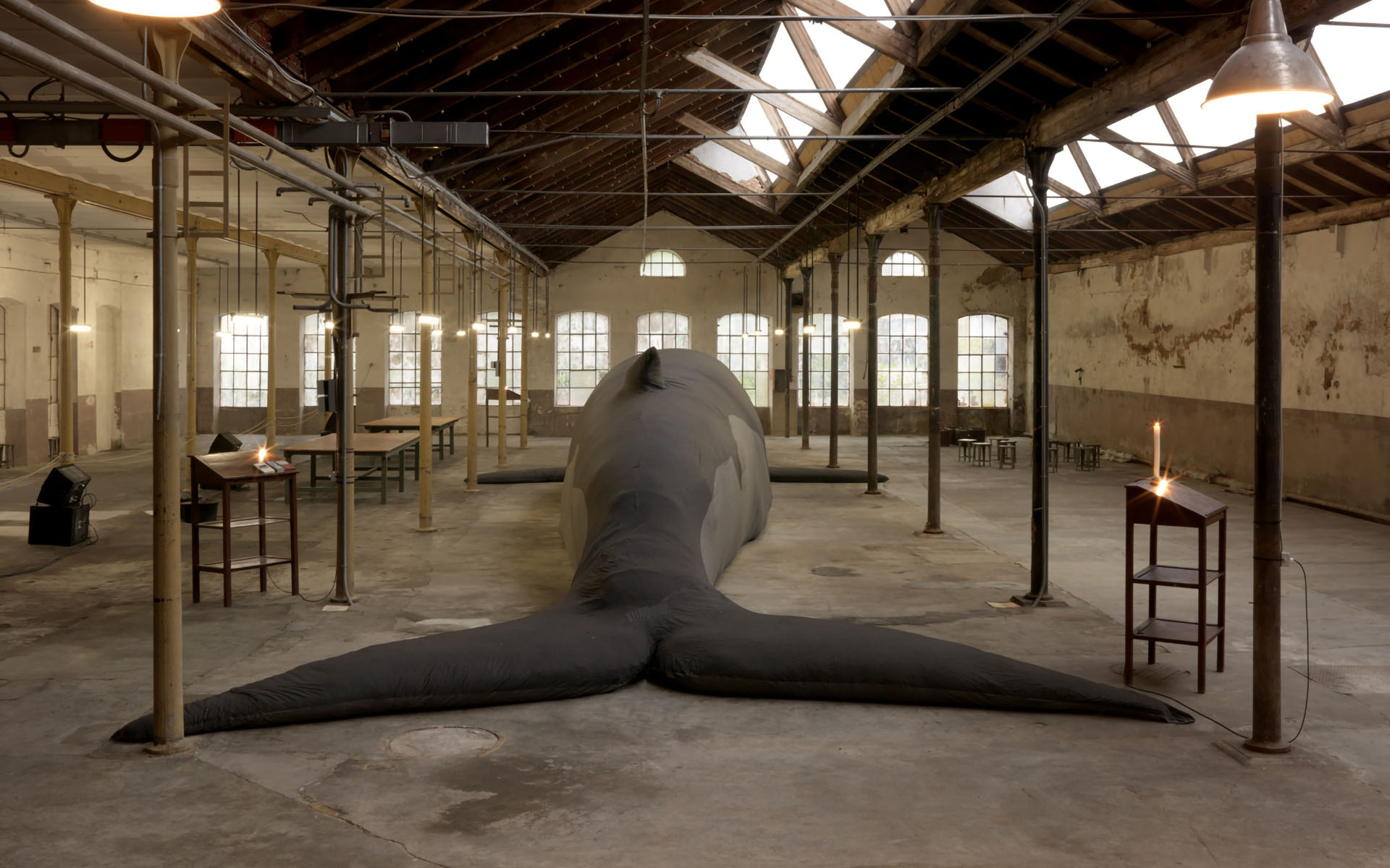 Installazione artistica in un ampio spazio industriale con una scultura di balenottera di 24 metri, realizzata in tessuto di lana biellese, distesa sul pavimento. Attorno, diverse postazioni con strumenti da cucito.